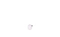 NORMANN COPENHAGEN - Little Bird 3 cm Light Pink