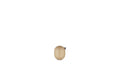 NORMANN COPENHAGEN - Little Bird 4,5 cm Oak
