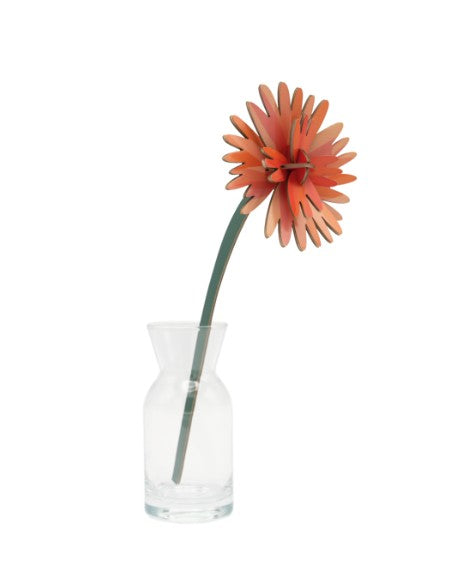 STUDIO ROOF - Orange Dahlia