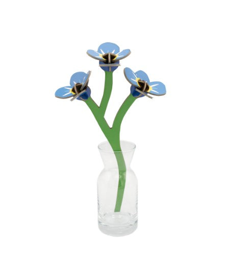 STUDIO ROOF - Forget-me-not