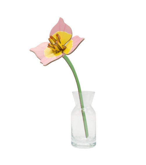 STUDIO ROOF - Blushing Tulip
