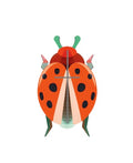 STUDIO ROOF - Coccinelle Rouge