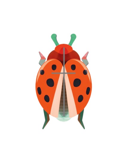 STUDIO ROOF - Coccinelle Rouge