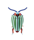 STUDIO ROOF - Rainbow Leaf Beetle