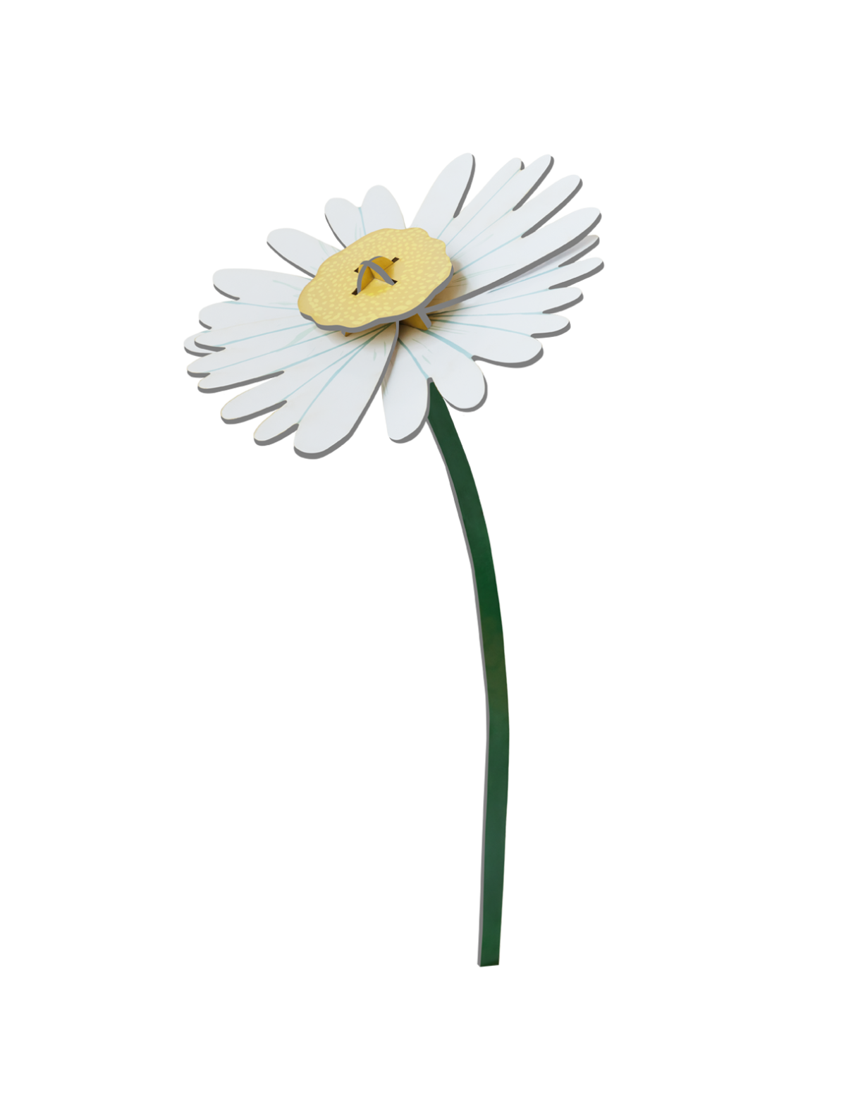 STUDIO ROOF - Daisy