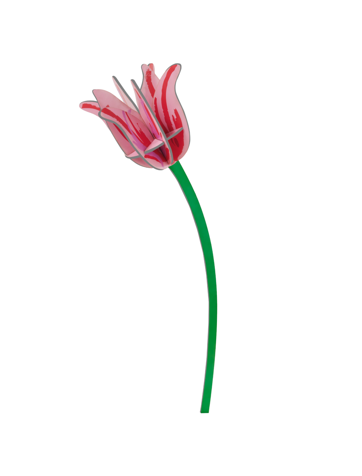 STUDIO ROOF - Pink Tulip
