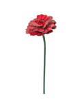 STUDIO ROOF - Rose