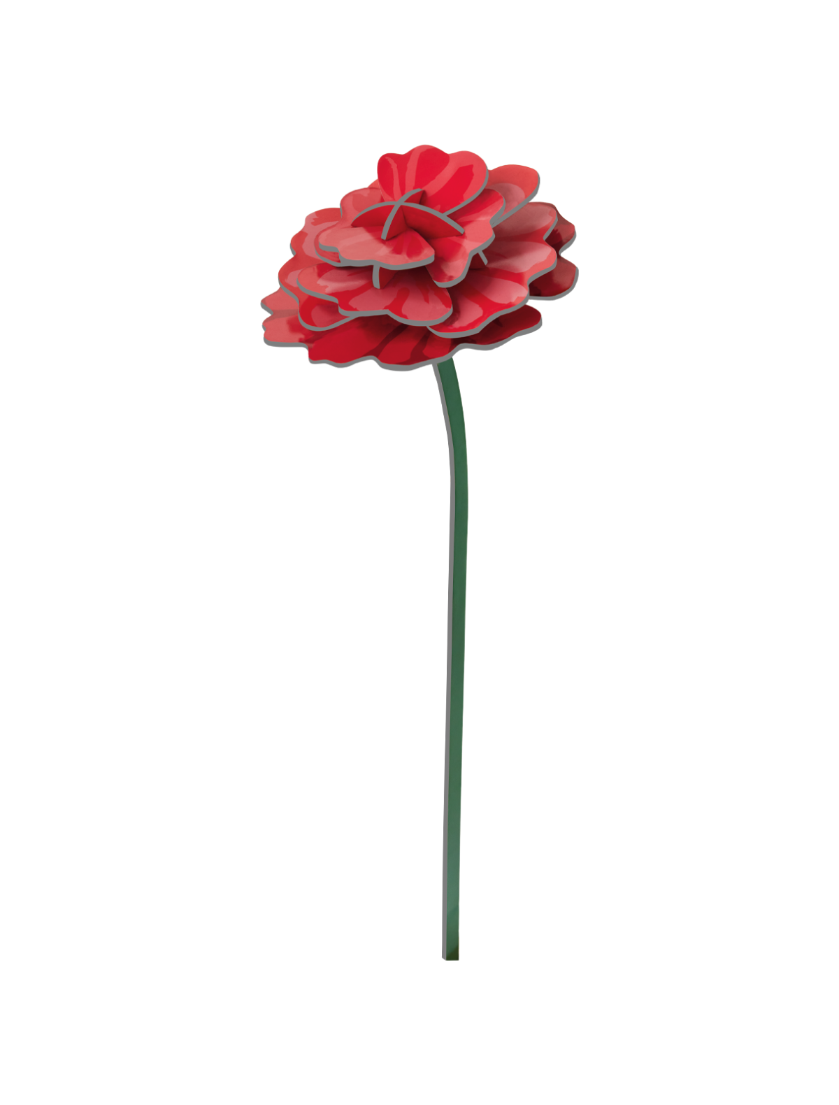 STUDIO ROOF - Rose