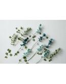 AVEVA DESIGN - ENDLESS FLOWER Eucalyptus - Dark green