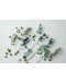 AVEVA DESIGN - ENDLESS FLOWER Eucalyptus - Silver green