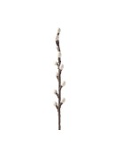 AVEVA DESIGN - ENDLESS FLOWER Willow - White