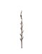 AVEVA DESIGN - ENDLESS FLOWER Willow - White