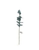 AVEVA DESIGN - ENDLESS FLOWER Eucalyptus - Dark green