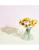 AVEVA DESIGN - ENDLESS FLOWER Daffodil - White